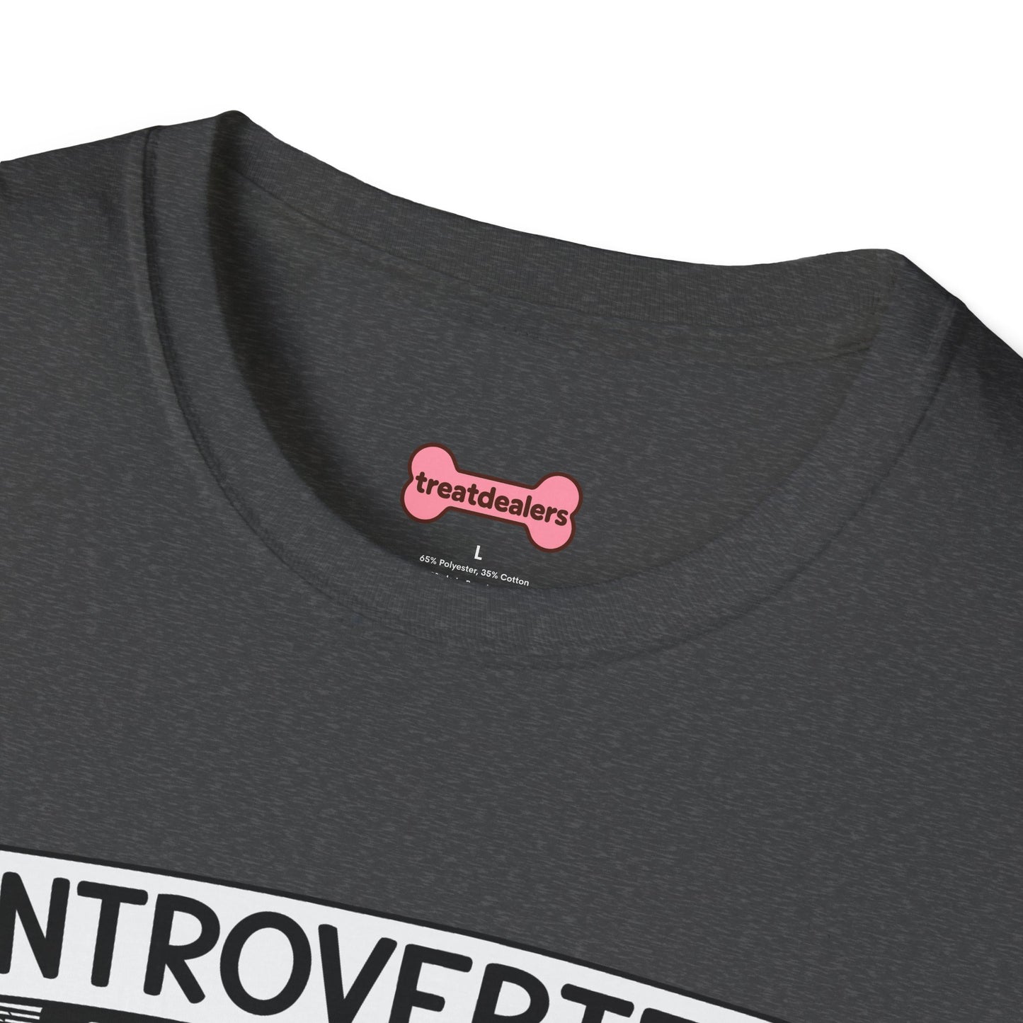 T-Shirt 'Introverted But Open to Discussing Chickens' Funny Shirt chickens Lover Tee