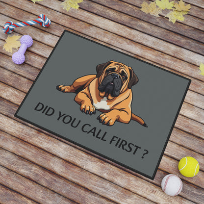 Door Mat 18"x24": "Did you call first"